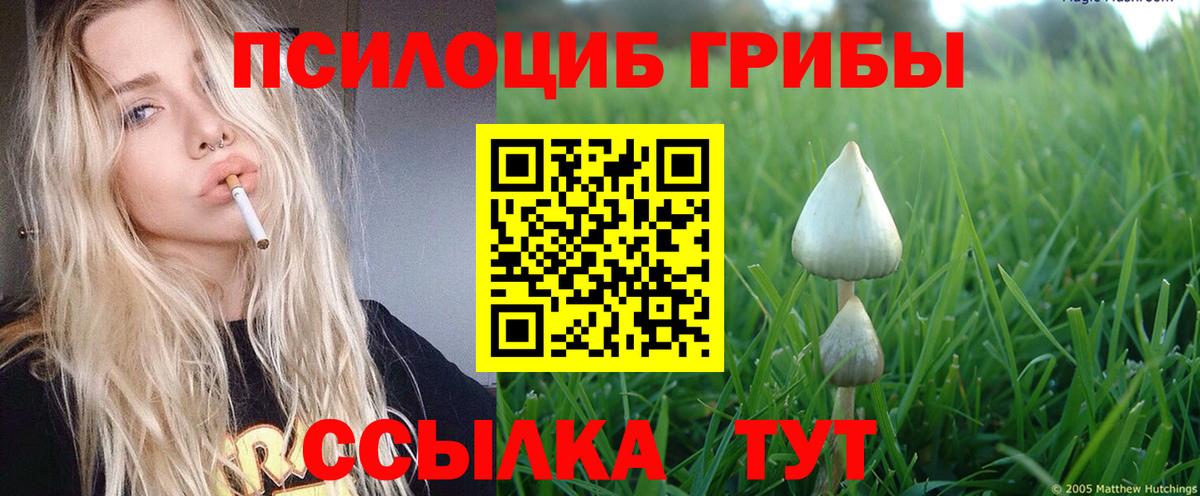 Псилоцибиновые грибы Cubensis Лабытнанги